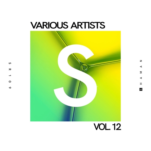 VA - Vol. 12 [SR109]